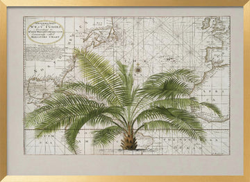 Vintage Caribbean Palm Map | Poster - Gold Frame Interior