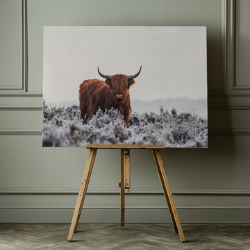 Highland Cow Winter Frost | Canvas - Room Interior 1