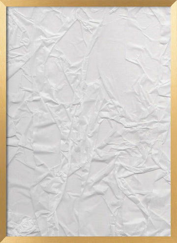 Crinkled Whispers | Poster - Gold Frame Interior