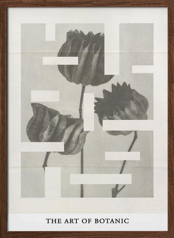 The art of botanic No.1 | Poster - Walnut Frame Interior