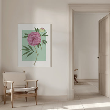 Pink Peony Blossom | Canvas - Room Interior 1