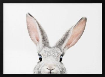 Peeking Bunny | Poster - Black Metal Frame Interior