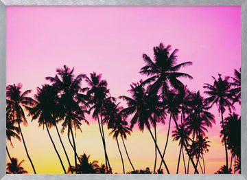 Pink Sky Palm Trees | Poster - Silver Frame Interior