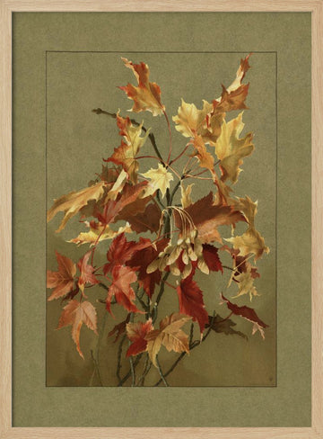 Autumn Leaves, Maple | Poster - Wood Frame Interior