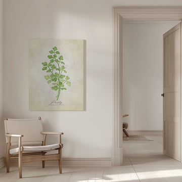 Green Parsley Botanical | Canvas - Room Interior 1