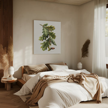 Botanical Oak Acorns | Canvas - Room Interior 2