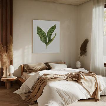 Lily of the Valley Leaf Illustration | Canvas - Room Interior 2