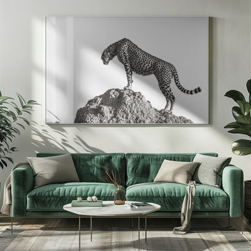 Cheetah On The Rocks | Poster - Room Interior 1
