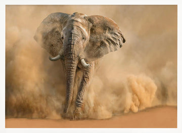 Majestic Elephant Dust Cloud | Poster - White Frame Interior