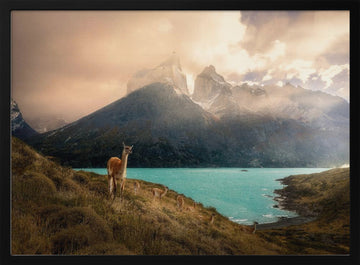 Patagonia Guanaco Peaks | Poster - Black Metal Frame Interior