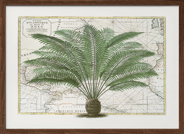 Vintage Palm Atlas | Poster - Walnut Frame Interior