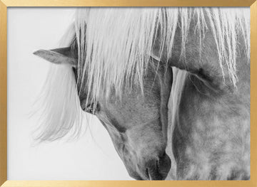 Serene Horse Portrait | Poster - Gold Frame Interior