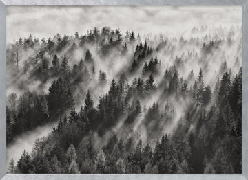 Misty Forest Light Rays | Poster - Silver Frame Interior