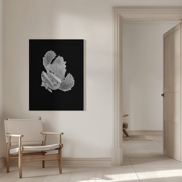 Betta Fish Dance | Canvas - Room Interior 1