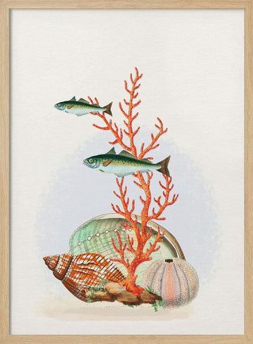 Marine Life Collection | Poster - Wood Frame Interior
