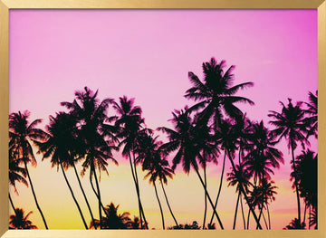 Pink Sky Palm Trees | Poster - Gold Frame Interior