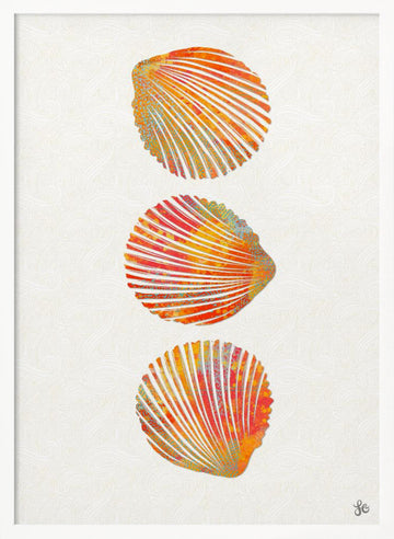 Vibrant Seashells | Poster - White Frame Interior
