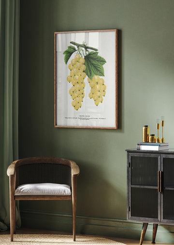 White Grape Lithograph | Poster - Room Interior 2
