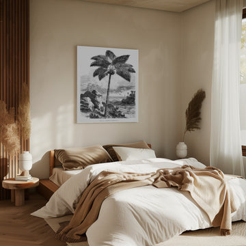 Vintage Palm Tree Drawing I | Canvas - Room Interior 2