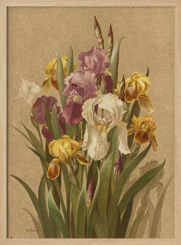 Fleur De Lis, No. 3 | Poster - Wood Frame Interior