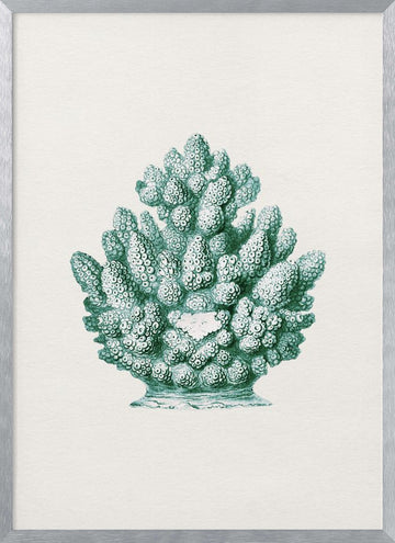 Teal Ocean Coral | Poster - Silver Frame Interior