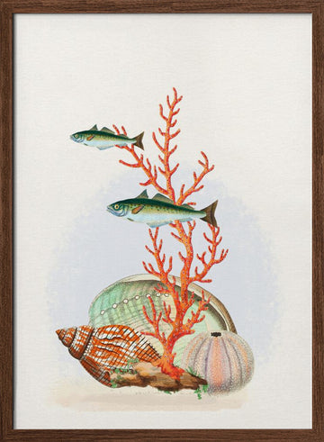 Marine Life Collection | Poster - Walnut Frame Interior