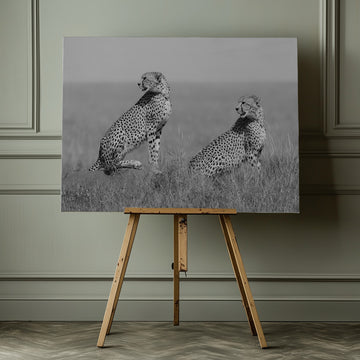 African Cheetahs Watching | Canvas - Room Interior 1