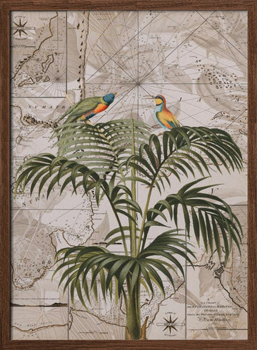 Tropical Birds Vintage Map | Poster - Walnut Frame Interior