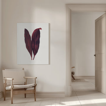 Pink Dracaena Ferrea Leaf Illustration | Canvas - Room Interior 1