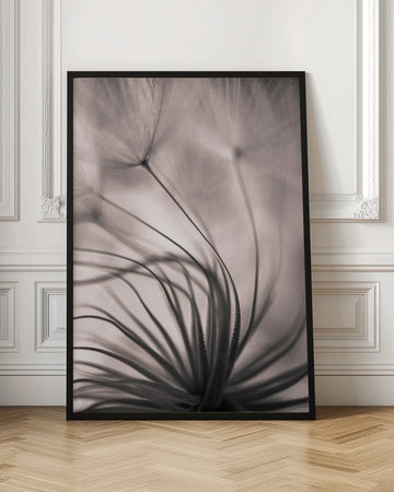 Delicate Dandelion Seeds | Poster - Room Interior 1