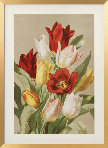 Tulips By Ellen Thayer Fisher | Poster - Gold Frame Interior
