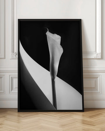 Elegant Calla Lily | Poster - Room Interior 1