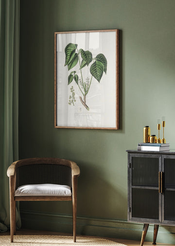 Poison Ivy (rhus Toxicodendron) Medical Botany | Poster - Room Interior 2
