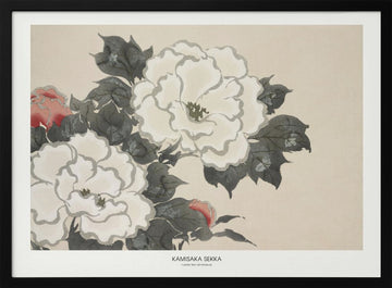Flowers From Momoyogusa | Poster - Black Metal Frame Interior
