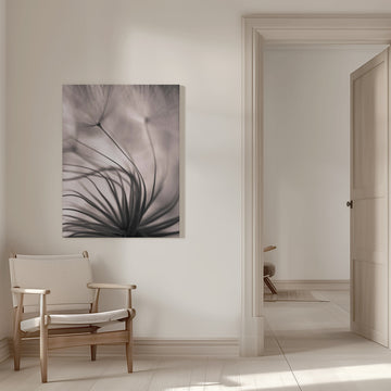 Delicate Dandelion Seeds | Canvas - Room Interior 1