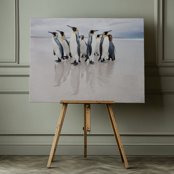King Penguins on Beach | Canvas - Room Interior 1