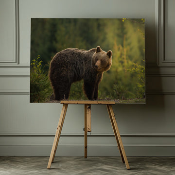 Bear in Golden Light | Canvas - Room Interior 1