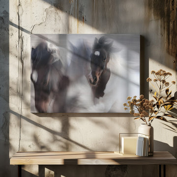 Spirited Horse Motion | Canvas - Room Interior 2