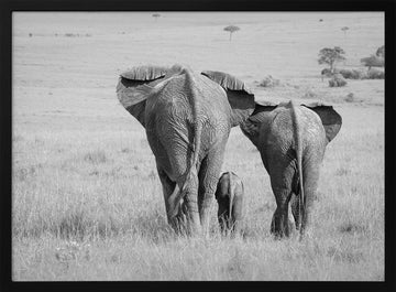African Elephant Family | Poster - Black Metal Frame Interior