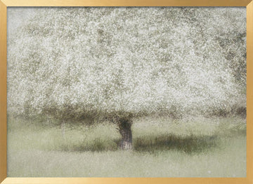In the backyard | Poster - Gold Frame Interior