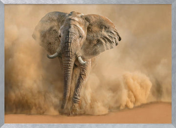 Majestic Elephant Dust Cloud | Poster - Silver Frame Interior