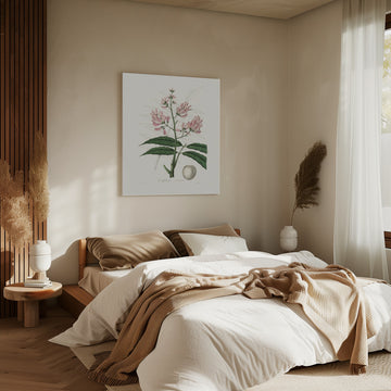 Geoffroya Inermis Medical Botany | Canvas - Room Interior 2