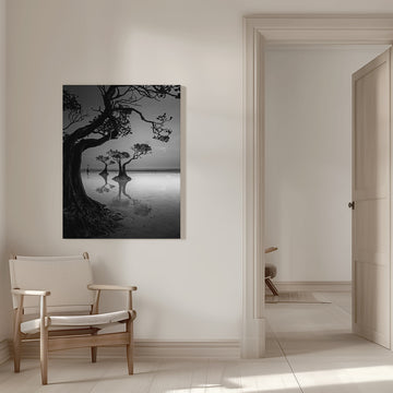 Moody Mangrove Landscape | Canvas - Room Interior 1