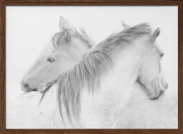 Ethereal White Horses | Poster - Walnut Frame Interior