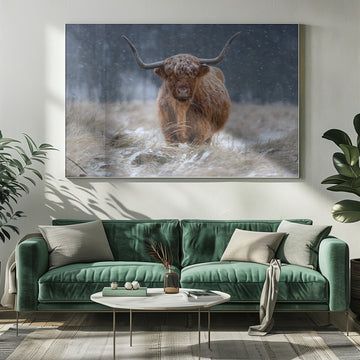 Snowy Highland Cow | Poster - Room Interior 1