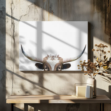 Peeking Longhorn Cow | Canvas - Room Interior 2