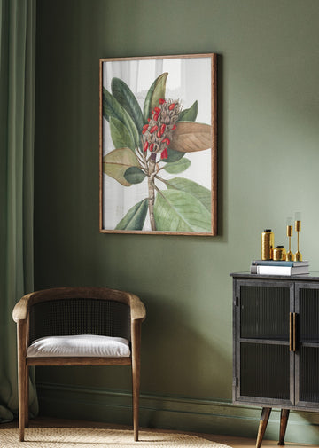 Southern Magnolia (1923) | Poster - Room Interior 2