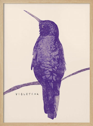 Elegant Violet Hummingbird | Poster - Wood Frame Interior