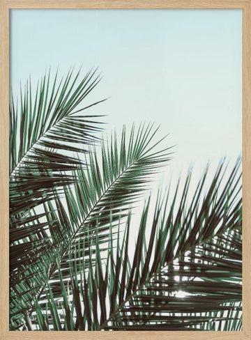 Tropical Palm Fronds | Poster - Wood Frame Interior