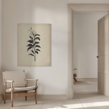 Vintage Botanical Illustration | Canvas - Room Interior 1